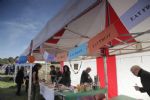 Kersal Moor Fruits of the Earth Festival Salford